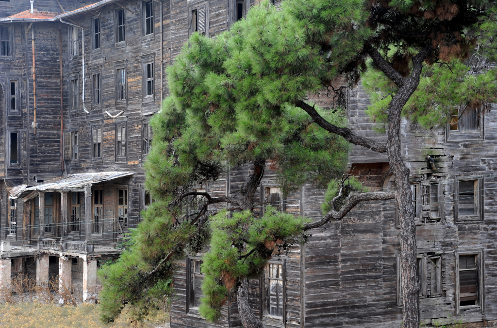 Places to Visit in Büyükada